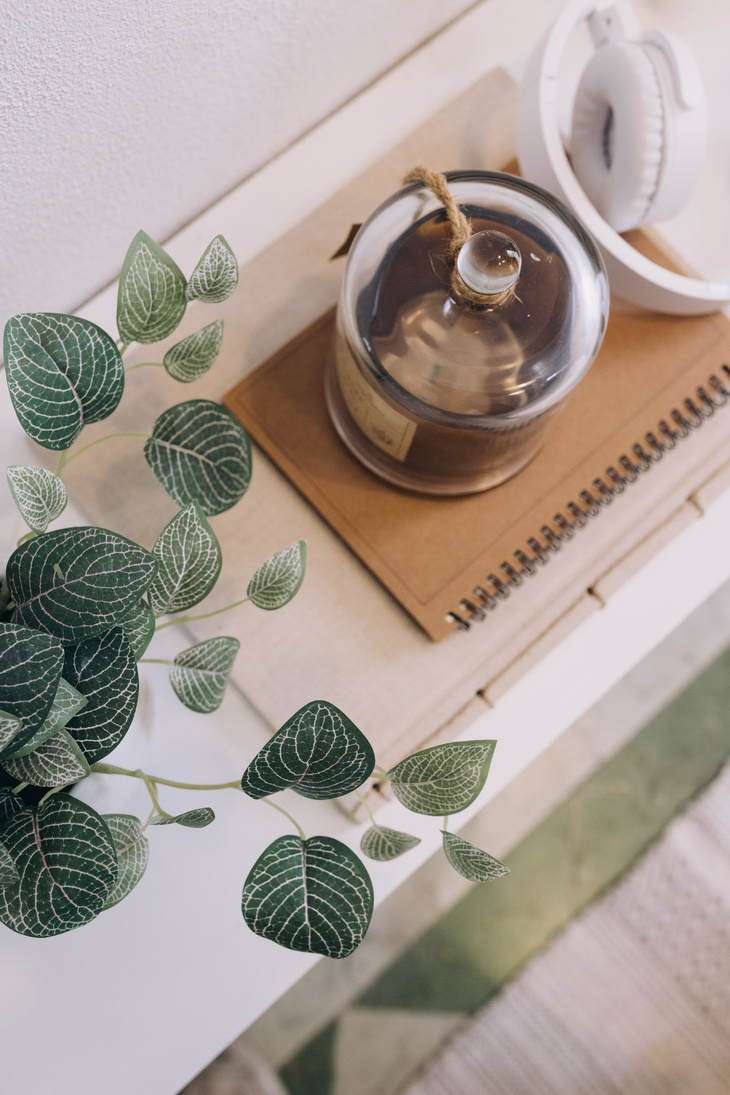 Top View of a Desk with Notebooks and Plants